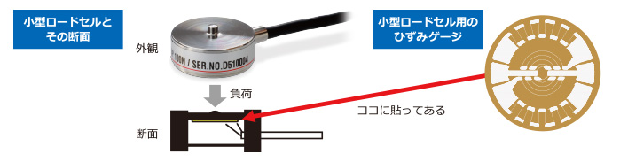 小型ロードセルとその断面、小型ロードセル用のひずみゲージ